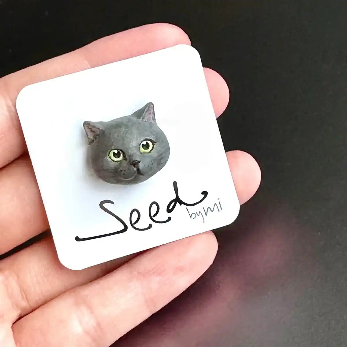 British Shorthair cat Small Magnet Blue Solid package display