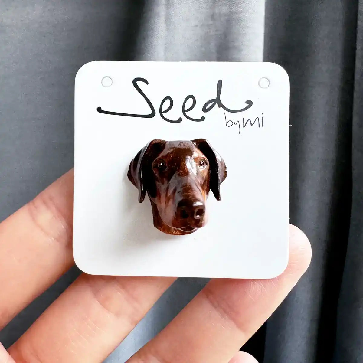 Doberman dog small magnet Folded Ear red Brown package display