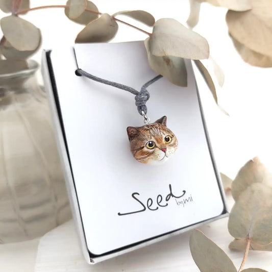 cat British shorthair Tabby pendant necklace with package