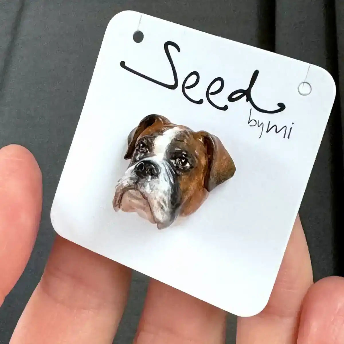 Boxer dog Small Magnet Floppy Ears Flashy Fawn package display