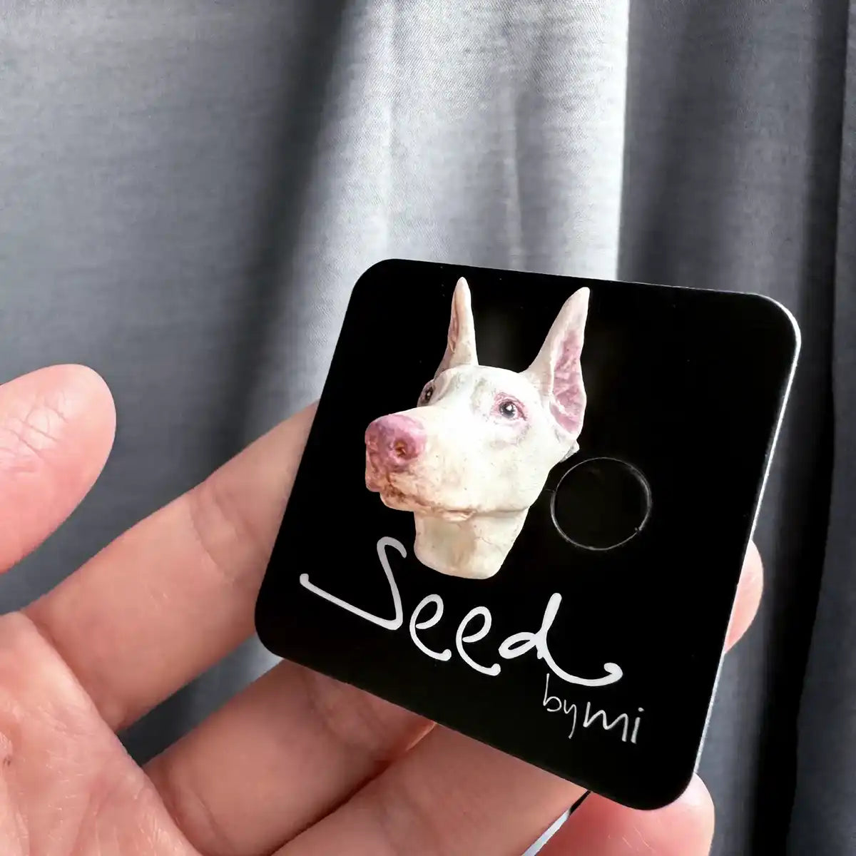 Doberman dog small magnet white package display