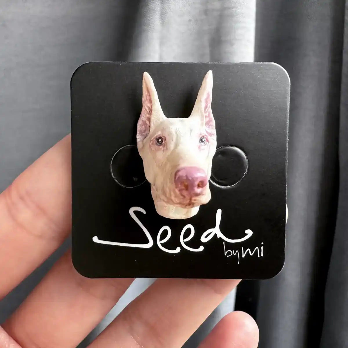 Doberman dog small magnet white package display
