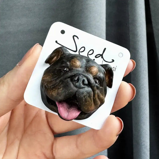 English British Bulldog Large Magnet Black package display