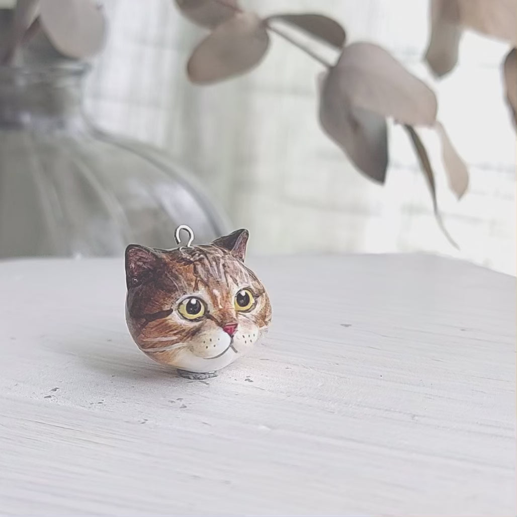 cat British shorthair tabby pendant turntable 360