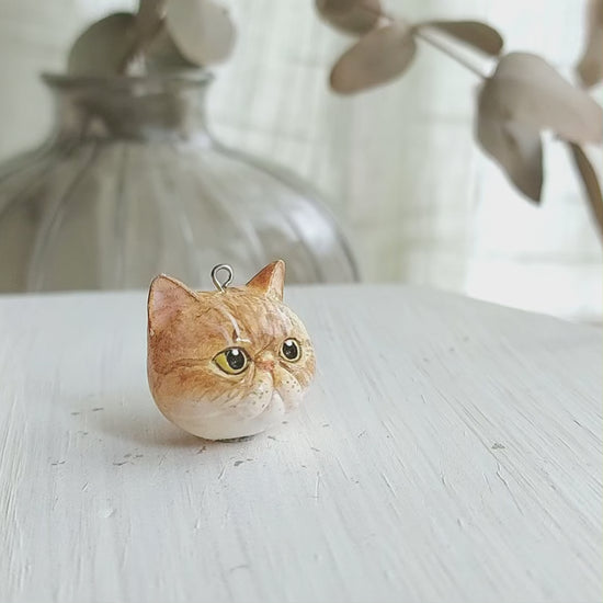 cat exotic shorthair ginger pendant turn table
