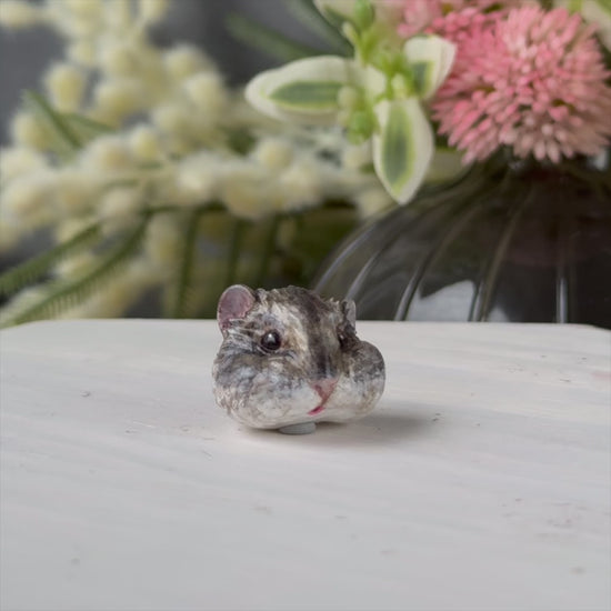 Hamster grey white pendant turn table
